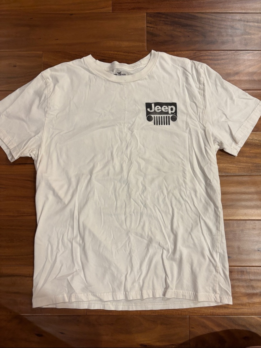 Hollister White Short Sleeve Tee with Black Chest Logo